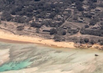 NZDF hunga tonga