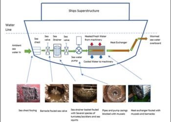 Marine Biofouling in Ports: Wet Docks Acting as ‘Hot Spot’ Biofouling Transfer Stations