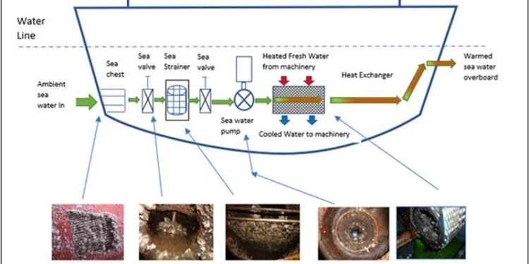 Marine Biofouling in Ports: Wet Docks Acting as ‘Hot Spot’ Biofouling Transfer Stations