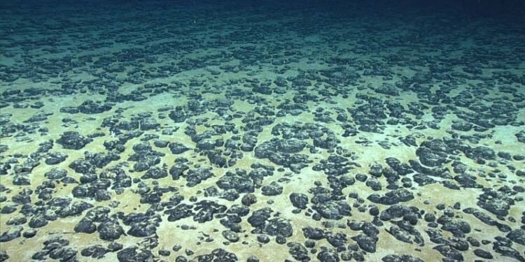 UN Deep-sea Mining Rules Unlikely to be Completed by 2023 Deadline, Latam Countries Say