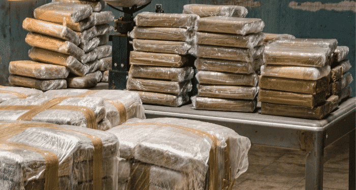 Over 69 Pounds of Cocaine Found On a Cruise Ship