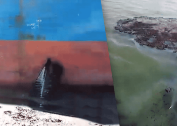 Video: Bulk Carrier Collision Leads To Oil Spill
