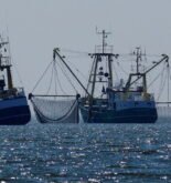 International Day For The Fight Against Illegal, Unreported And Unregulated Fishing 5 June 2021 