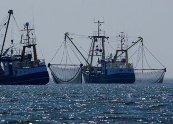 International Day For The Fight Against Illegal, Unreported And Unregulated Fishing 5 June 2021 