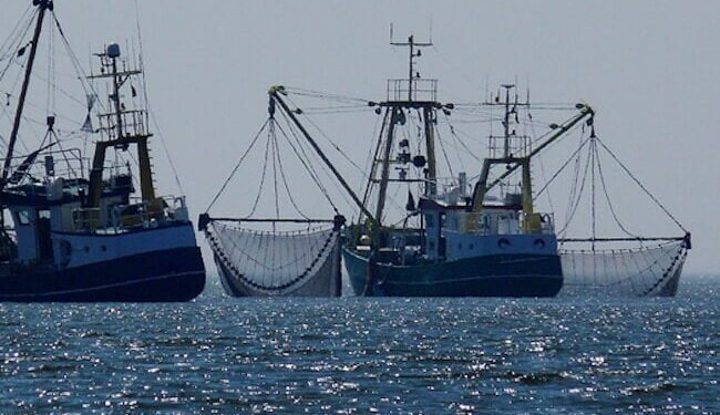 International Day For The Fight Against Illegal, Unreported And Unregulated Fishing 5 June 2021 