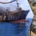 Dead Marine Animals Wash Up Ashore In Sri Lanka After Cargo Ship Sinks