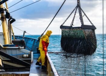 Shipping Industry Data Being Shared For The First Time With Other Industries Through IoS-OP