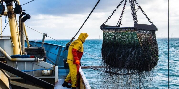 Shipping Industry Data Being Shared For The First Time With Other Industries Through IoS-OP