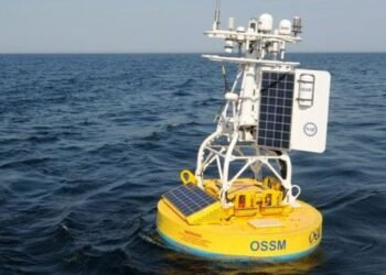 Woods Hole Oceanographic Institution & & CMA CGM Join Hands To Increase Protection Of Whales