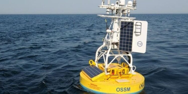 Woods Hole Oceanographic Institution & & CMA CGM Join Hands To Increase Protection Of Whales