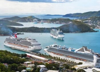 US CDC Scraps COVID Warning for Cruise Travel After 2 Years