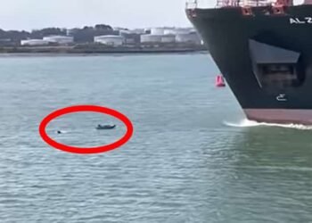 Watch: Man Swims A Few Meters Away From Getting Crushed By Huge Container Ship