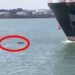 Watch: Man Swims A Few Meters Away From Getting Crushed By Huge Container Ship Watch: Man Swims A Few Meters Away From Getting Crushed By Huge Container Ship
