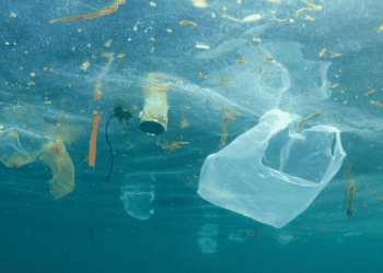 CMA CGM And Plastic Flamingo Mitigate Plastic Packaging Pollution With New Recycling Line