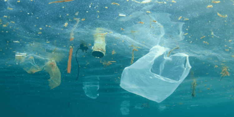 CMA CGM And Plastic Flamingo Mitigate Plastic Packaging Pollution With New Recycling Line