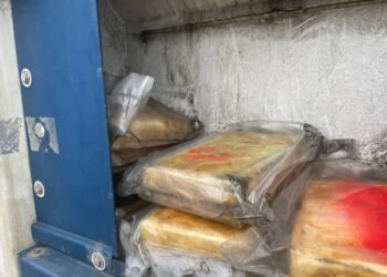 Cocaine Seized from Shipping Container in Tasmania