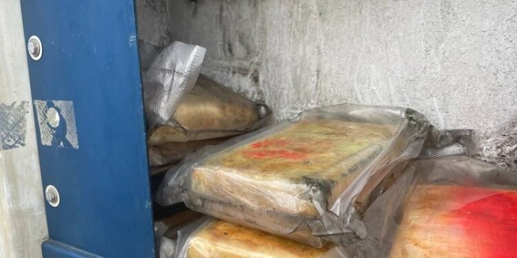 Cocaine Seized from Shipping Container in Tasmania