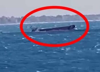Cargo Vessel Sinks; Crew Members Rescued Off Alexandria Port [Video]