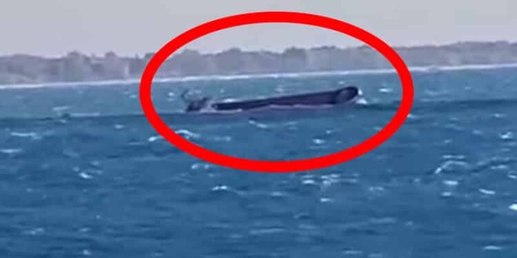 Cargo Vessel Sinks; Crew Members Rescued Off Alexandria Port [Video]