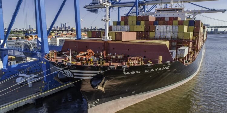 UNITED STATE Authorities Seize MSC Gayane After Record Drug Bust msc gayane drug bust