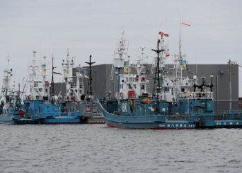 Whaling ships which are set to join the resumption of commercial whaling at anchor at a port in Kushiro