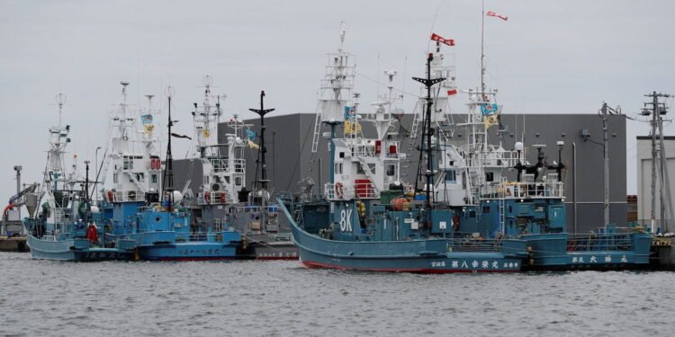 Whaling ships which are set to join the resumption of commercial whaling at anchor at a port in Kushiro