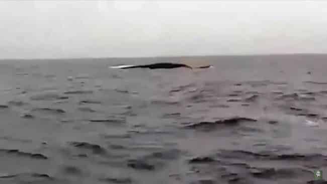 Hormuz Strait Vessel Capsized