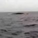 Hormuz Strait Vessel Capsized