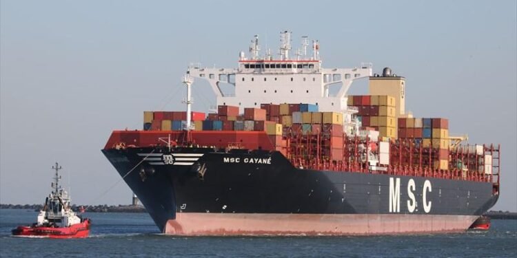 File photo shows the MSC Gayane