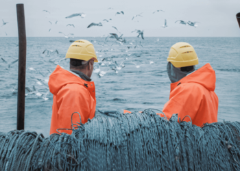 CSM Partners With Kadmos To Automate Crews’ Salary Payouts