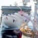 Japan's 1st LNG-Fueled Ferry Sunflower Kurenai Launched