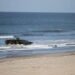 Marine Corps Pauses Assault Vehicle Training After Surf Accident