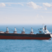 bulk carrier