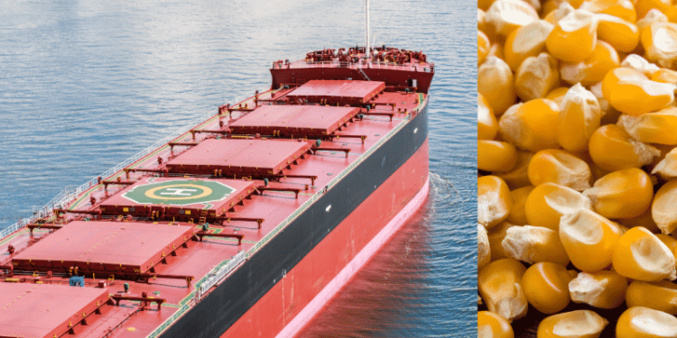 corn bulk carrier