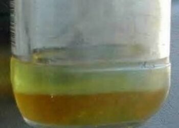 USCG Warns of Water Contamination in Fuel Systems