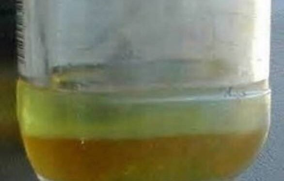 USCG Warns of Water Contamination in Fuel Systems