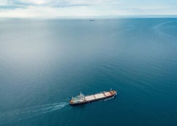 Countries Seek IMO Meeting Over Shipping Dangers After Ukraine Invasion