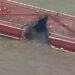 Major Gas Product Spill on Houston Ship Channel After Tanker and Barges Collide