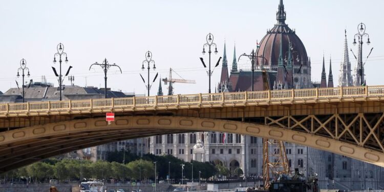 Viking Cruises Says Viking Sigyn Captain Was Not Captain in Dutch Accident