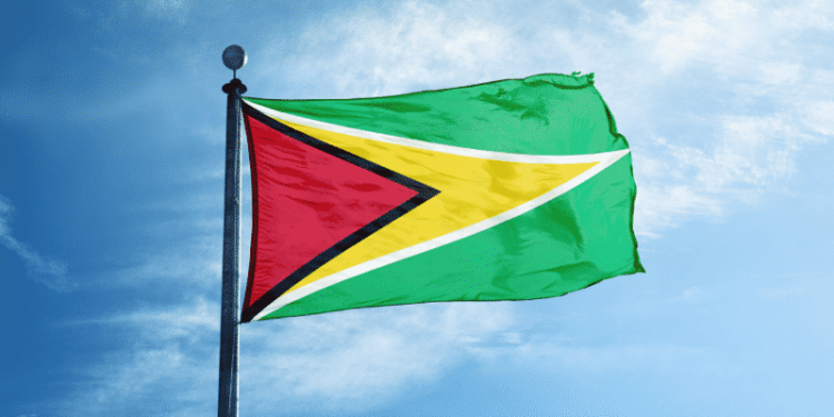 Guyana Flag By Ships