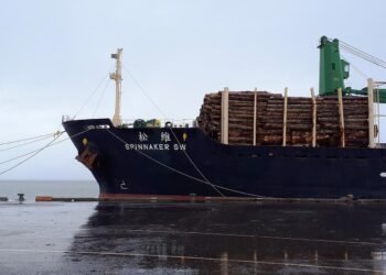 Spinnaker SW ship