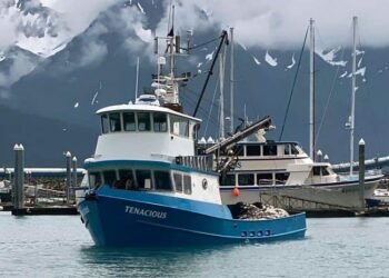 Tenacious under way before the casualty.