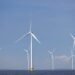 Offshore Wind: Agreement Opens Dutch Waters to Danish Vessels