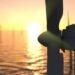 BOEM Environmental Review: No Significant Impact of Potential Offshore Wind Leasing in Area Off California