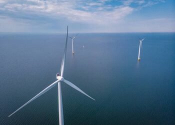 Total, Duke Are Winners of Latest US Offshore Wind Auction