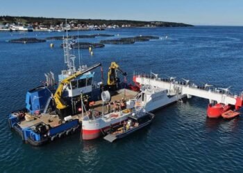 Renewable Energy: First Floating Tidal Power Delivered to Nova Scotia Grid