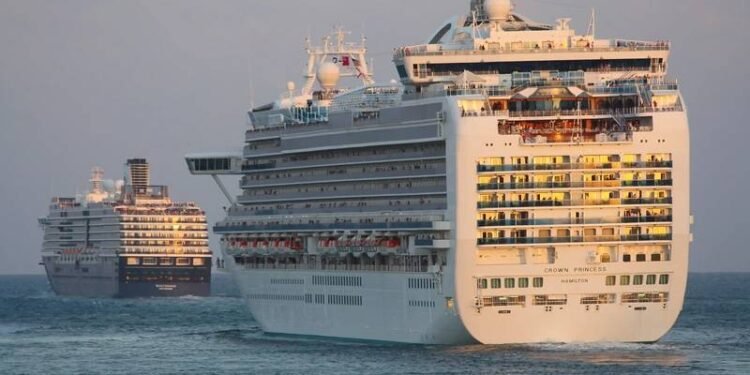 US CDC Eases Warnings for Cruises as New COVID Infections Fall