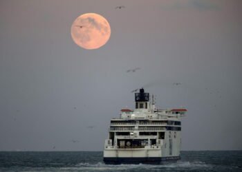 U.K. Government Sued Over ‘No-Deal’ Brexit Ferry Contract Award