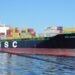 msc mandy containership