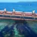 solomon trader aground